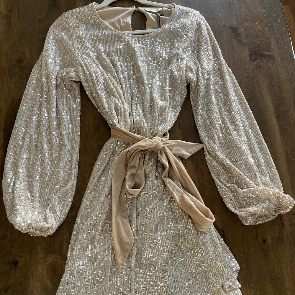 Holiday / New Years dress!